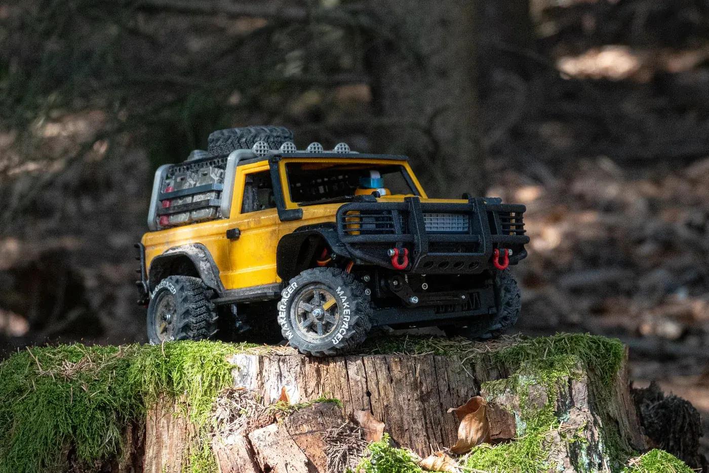 MAKERACER on mossy stump in forest